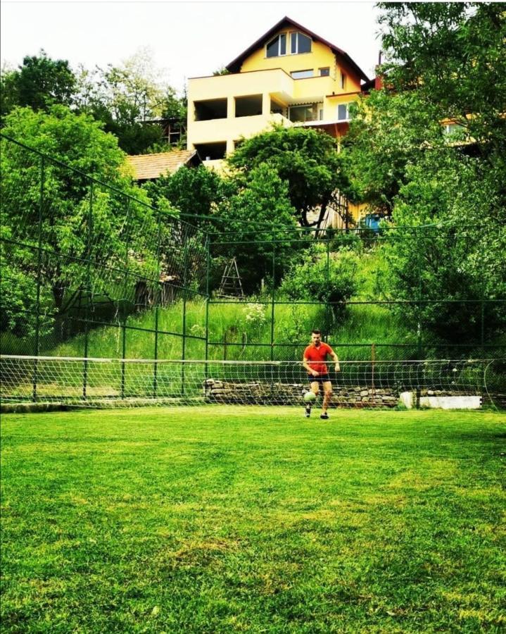 Doftana Apartaments Teşila Zewnętrze zdjęcie