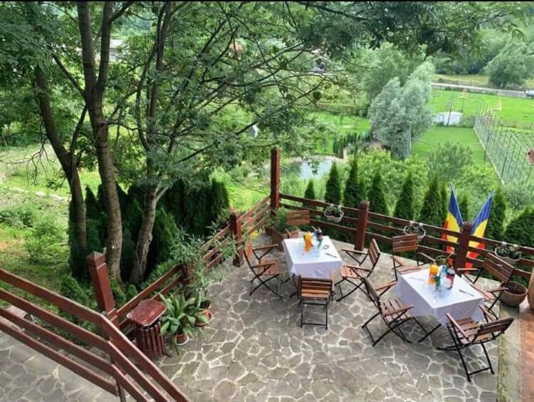 Doftana Apartaments Teşila Zewnętrze zdjęcie