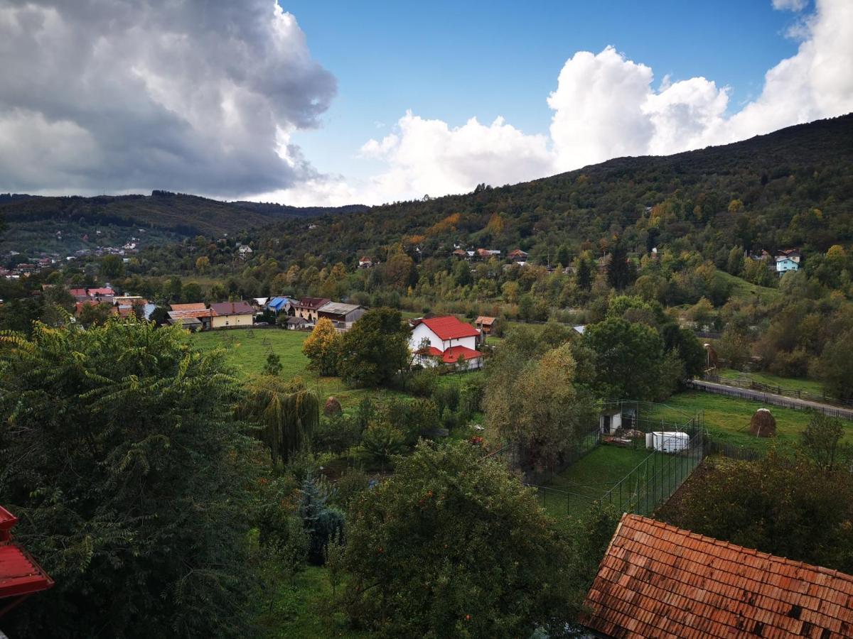 Doftana Apartaments Teşila Zewnętrze zdjęcie