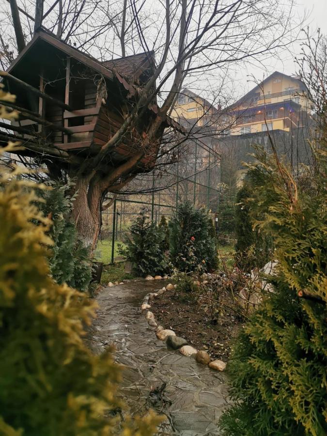 Doftana Apartaments Teşila Zewnętrze zdjęcie