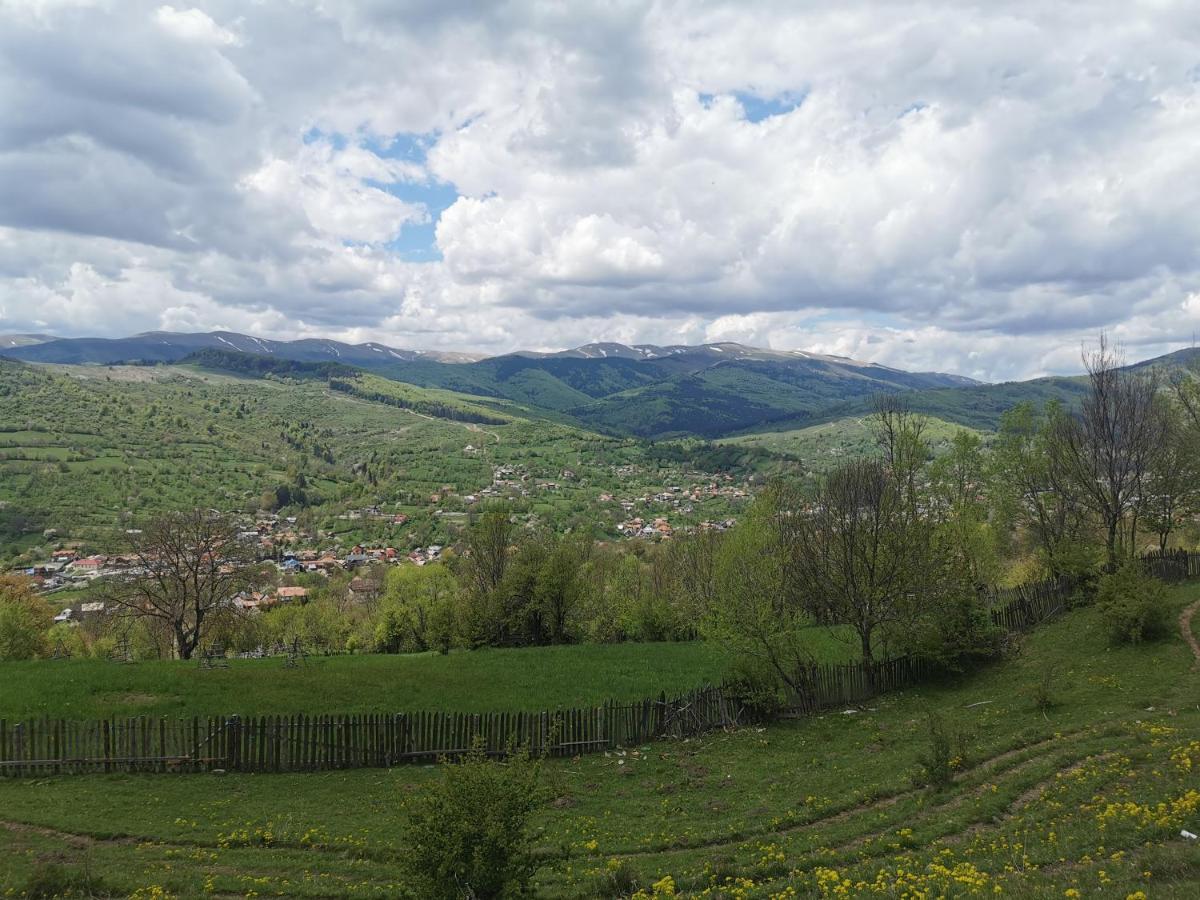 Doftana Apartaments Teşila Zewnętrze zdjęcie