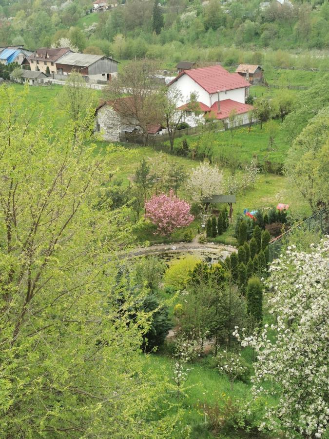 Doftana Apartaments Teşila Zewnętrze zdjęcie